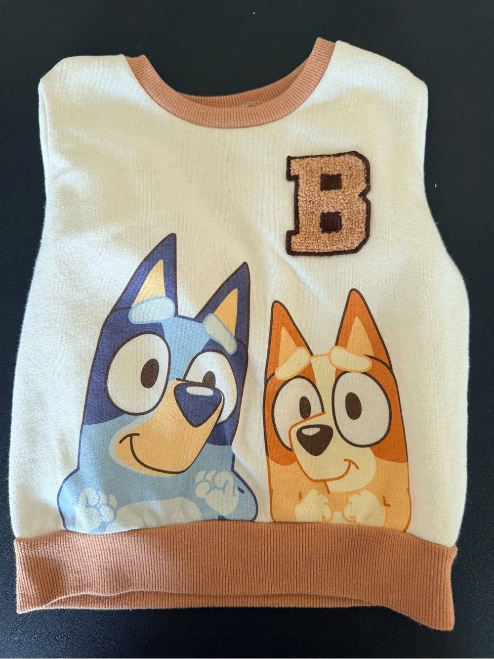 Kids Bluey & BUNDLE 10 Items 2-4t Girls